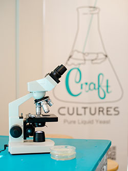 craft cultures lab 5