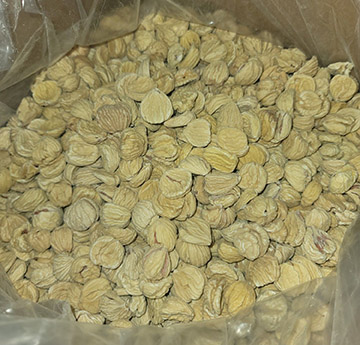 Shelled chestnuts in a bag.