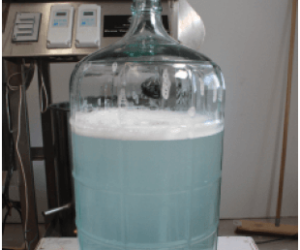 carboy filled with starsan s and a carboy cleaning brush