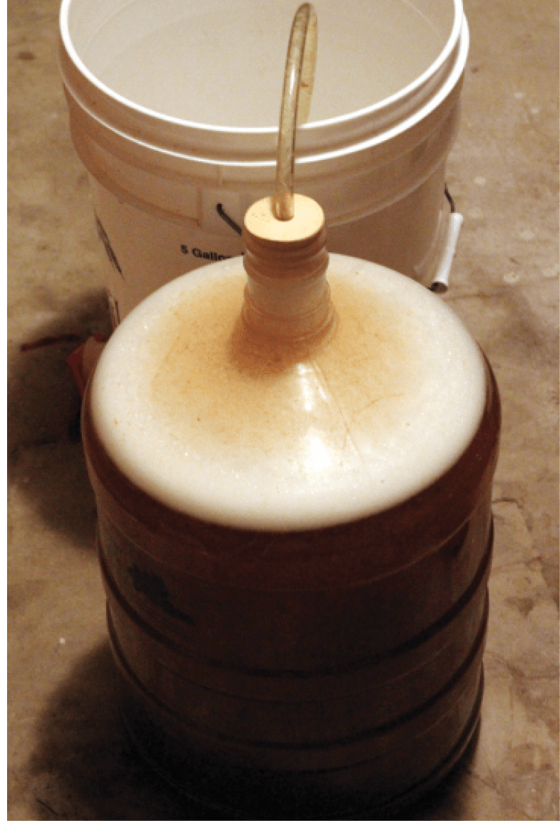 exBEERiment, Impact Pressurized Warm Fermentation Has On A Belgian Single