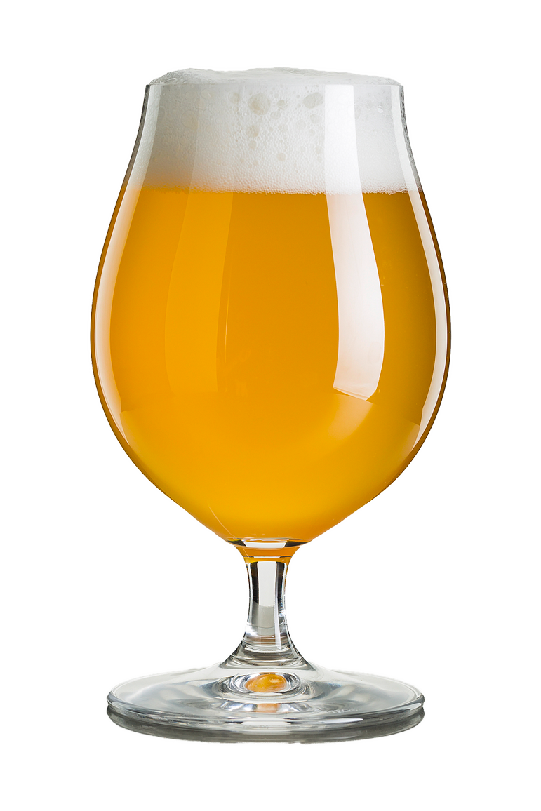 Tulip snifter of IPA beer.