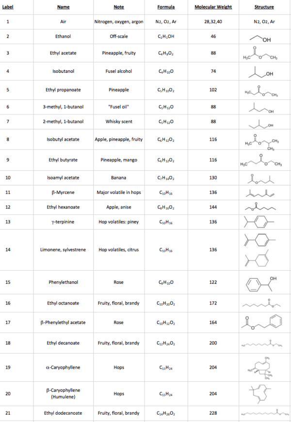 The Impact of Fermentation on Aroma - Brew Your Own