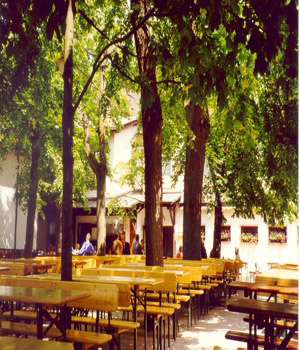Greifenklau beer garden.