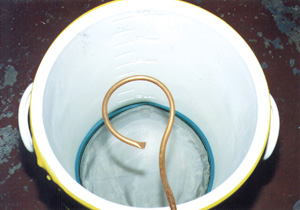 White bucket with end of hose curling inside.